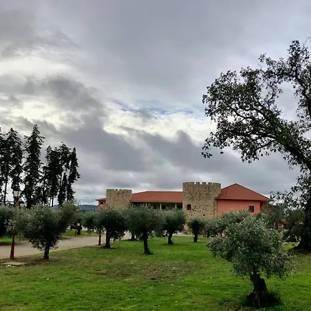 Palace & Termas De Sao Tiago 4*