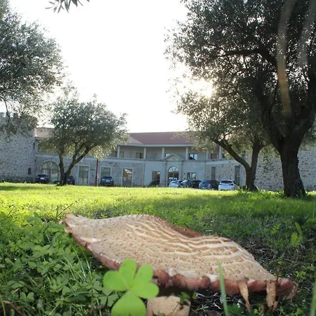 Palace & Termas De Sao Tiago فندق