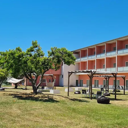 Palace & Termas De Sao Tiago فندق