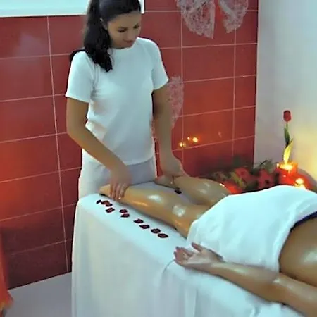 Palace & Termas De Sao Tiago فندق 4*