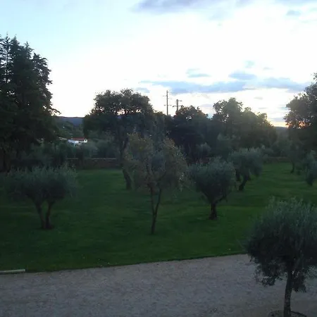 Palace & Termas De Sao Tiago Hotel