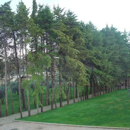 Hotel Palace Hotel&spa Termas De São Tiago 4*