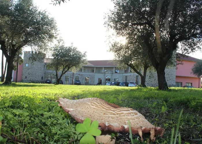 Palace & Termas De Sao Tiago Ξενοδοχείο