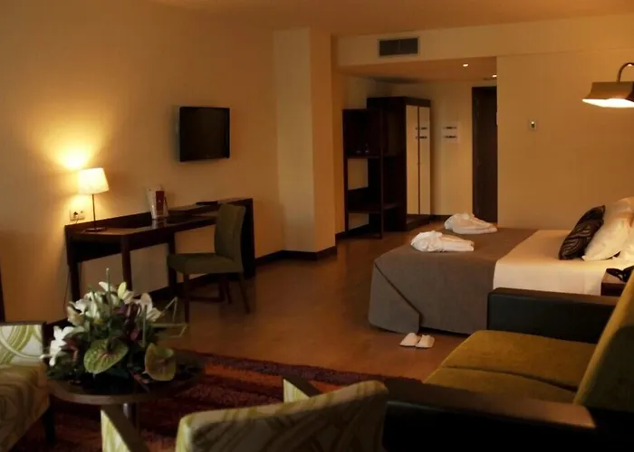 Palace & Termas De Sao Tiago 4* Penamacor