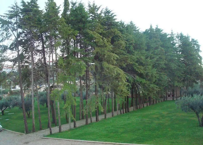 Отель Palace & Termas De Sao Tiago 4*